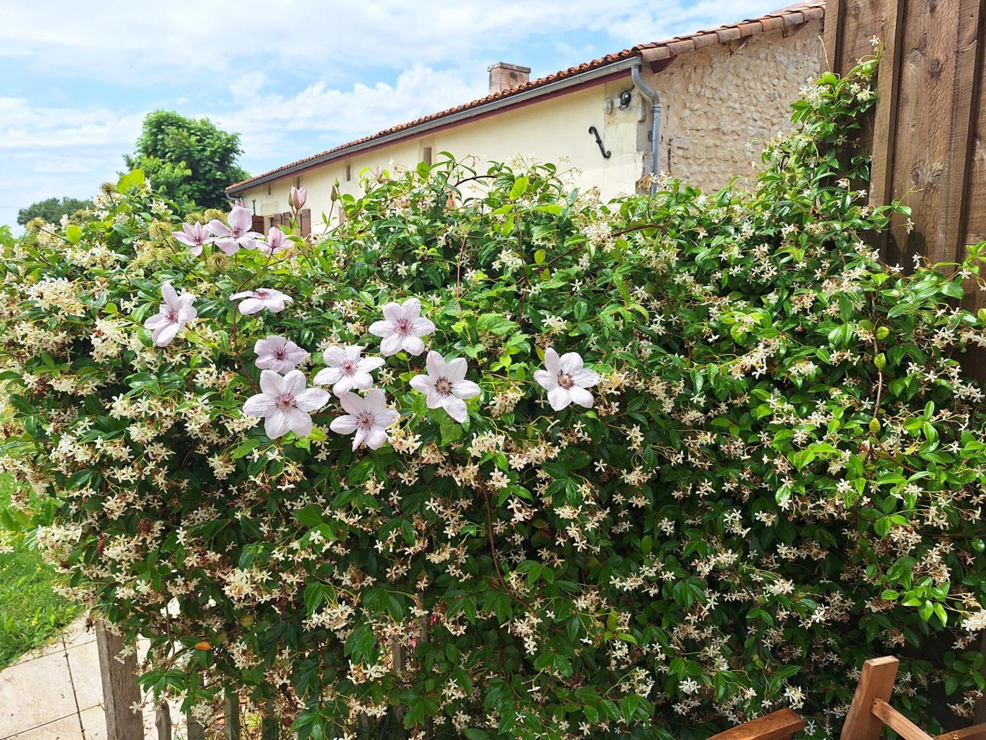 Gite Cosy Grand Confort Dans Un Ecrin De Verdure Agudelle المظهر الخارجي الصورة