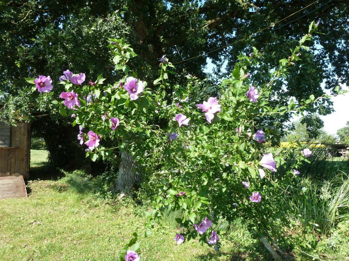 Gite Cosy Grand Confort Dans Un Ecrin De Verdure Agudelle المظهر الخارجي الصورة