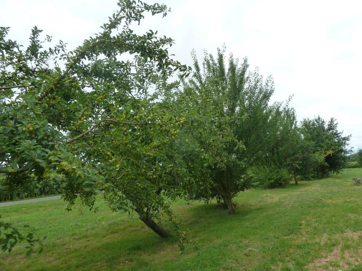 Gite Cosy Grand Confort Dans Un Ecrin De Verdure Agudelle المظهر الخارجي الصورة