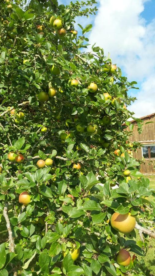 Gite Cosy Grand Confort Dans Un Ecrin De Verdure Agudelle المظهر الخارجي الصورة